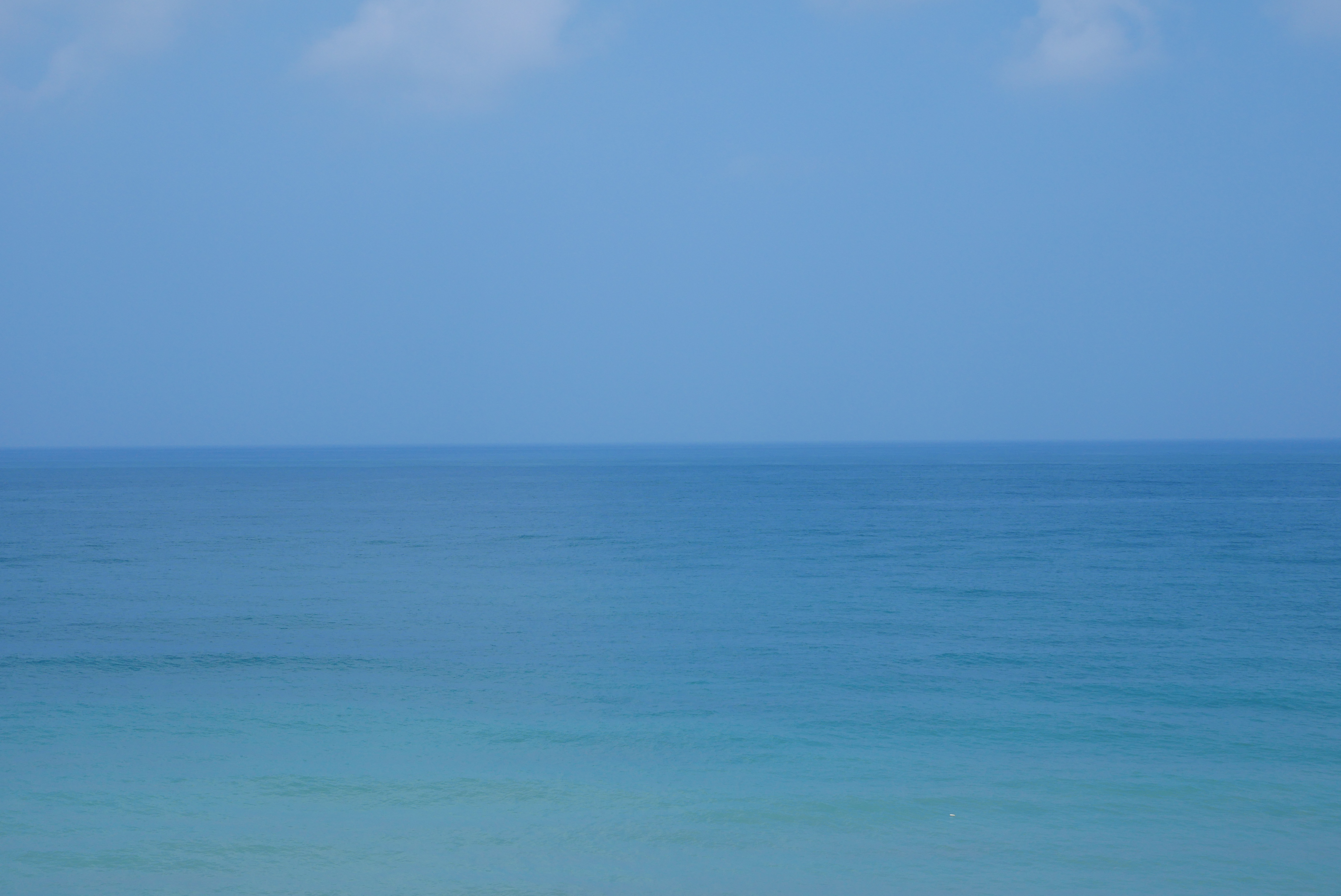 The Distance of Blue - Digital Exhibition